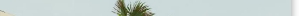 SanRafaelviewcopyweb